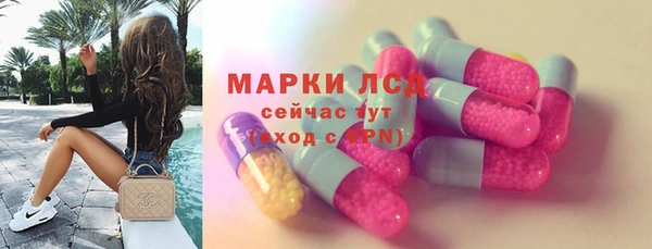 ГАЛЛЮЦИНОГЕННЫЕ ГРИБЫ Горняк