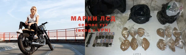 ГАЛЛЮЦИНОГЕННЫЕ ГРИБЫ Горняк