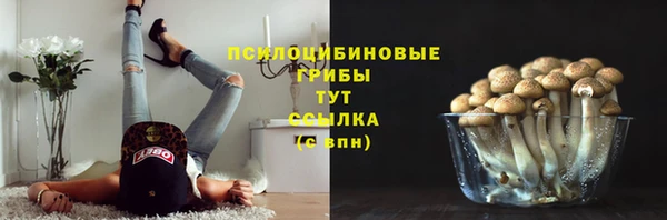 эйфоретик Горно-Алтайск