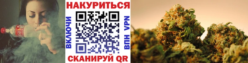 Купить где  Карасук  Конопля планчик 